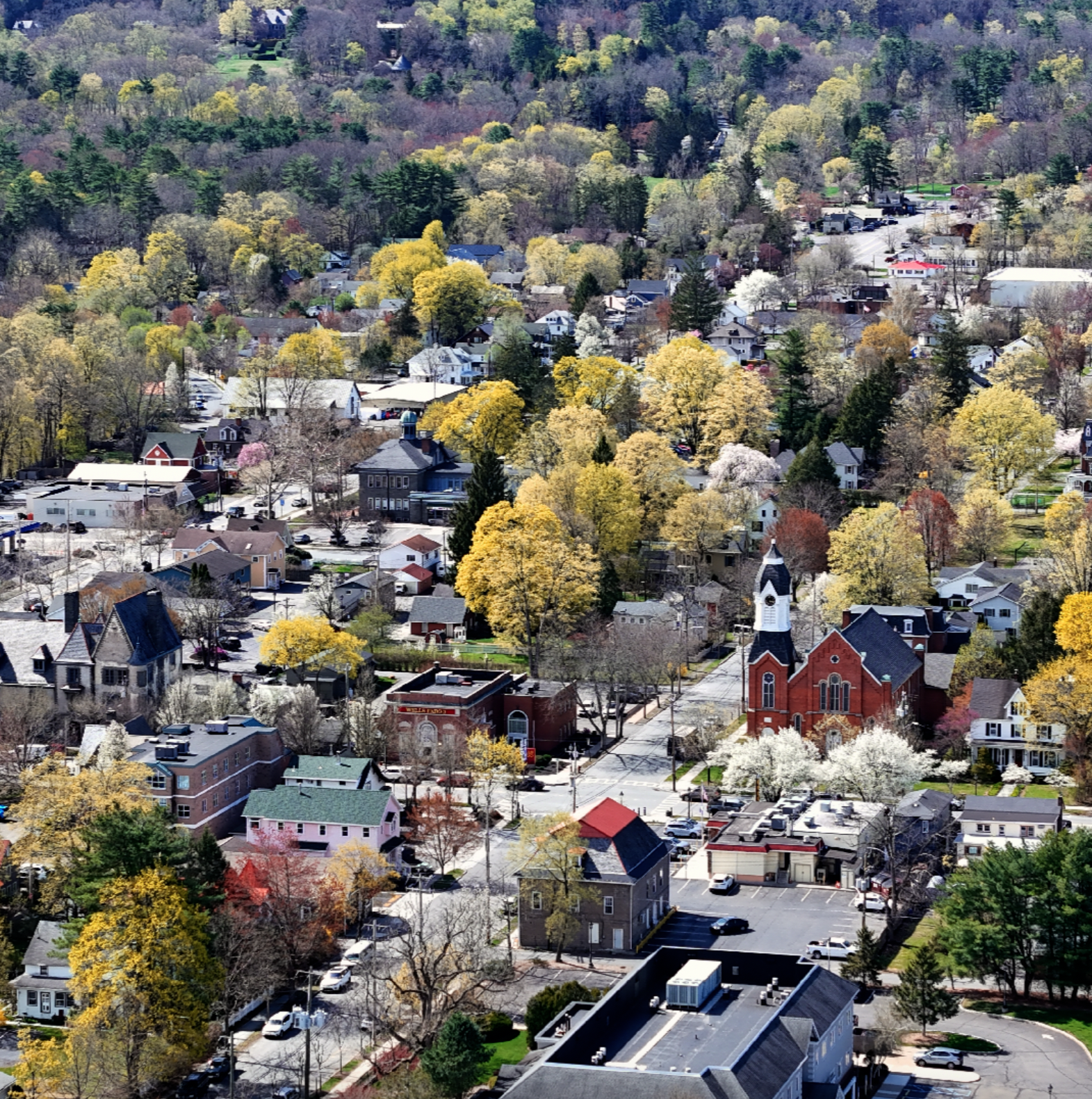 The background, features a large white house with a pool surrounded by palm trees and white outdoor furniture in a tropica...